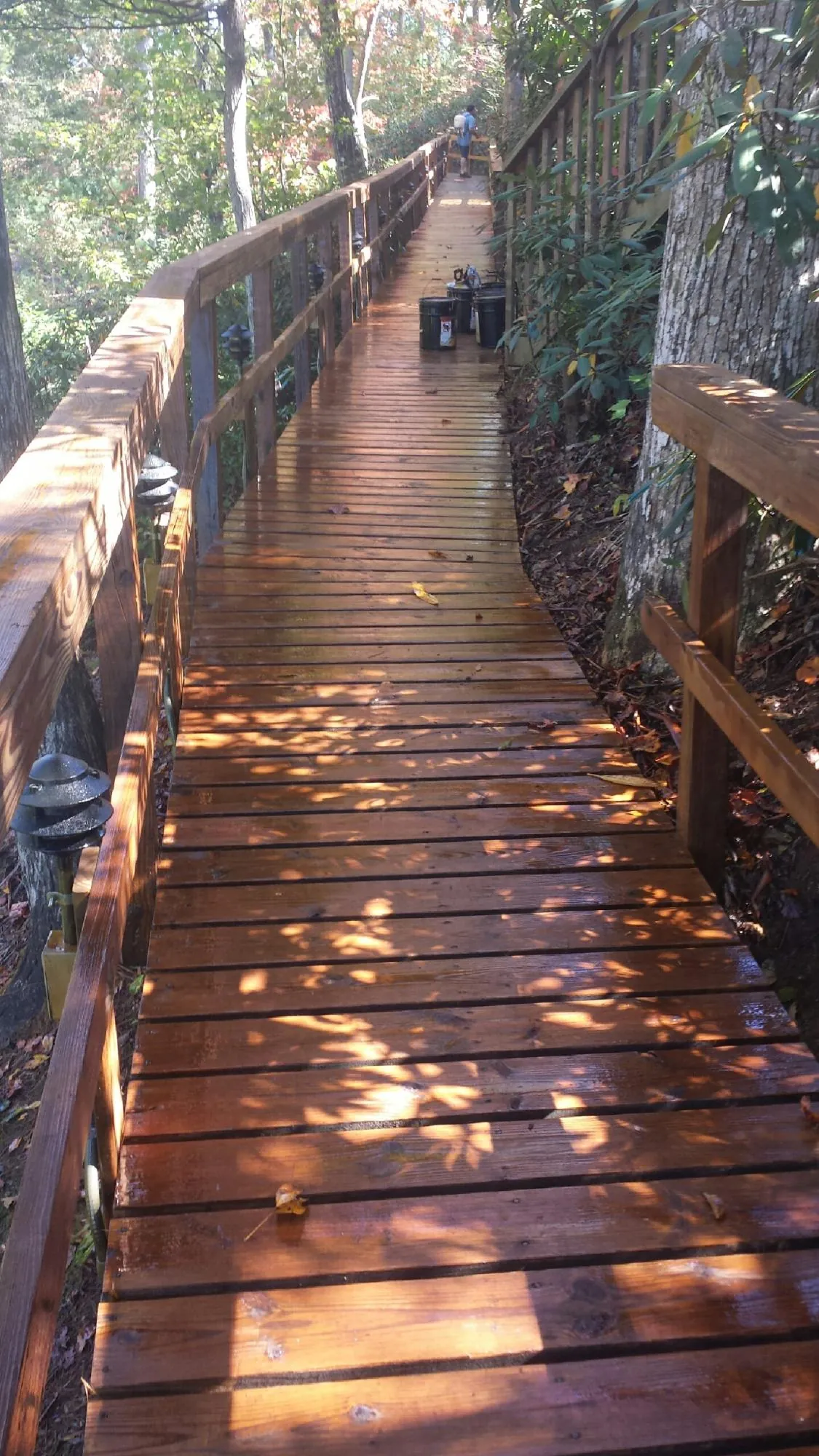 Freshly stained wood walkway winding through the woods in Oakland